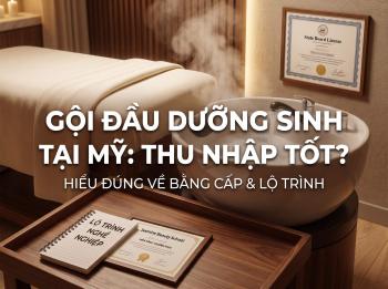 Làm Gội Đầu Dưỡng Sinh Tại Mỹ Có Thu Nhập Tốt Không? Cần Bằng Cấp Gì Để Hành Nghề Hợp Pháp?