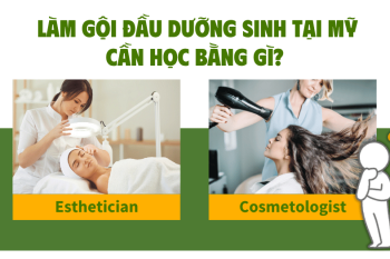 Làm Gội Đầu Dưỡng Sinh Tại Mỹ Cần Học Bằng Gì? Esthetician Hay Cosmetologist?