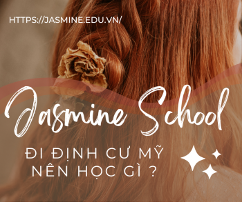 Đi định cư Mỹ thì nên học gì để có thu nhập cao mà không tổn hại đến sức khỏe  ?